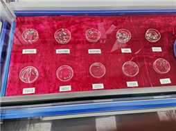 Sample display cabinet